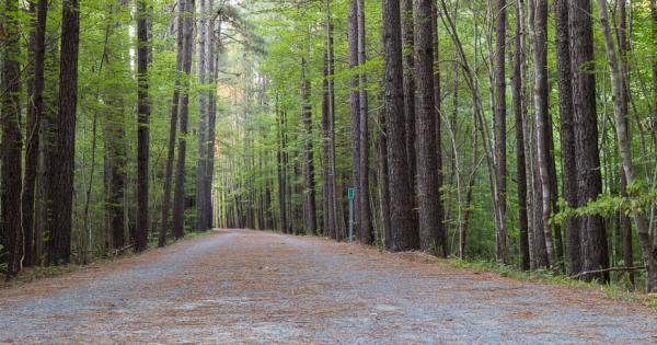 Experience the serene beauty of Apex, NC through its beloved trails.